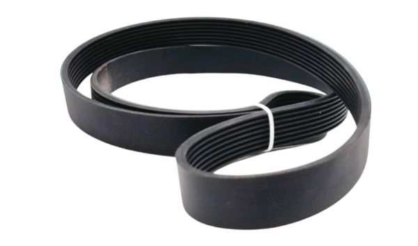 Fan Belt 5621525