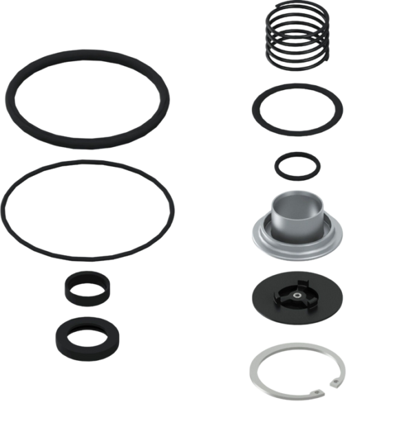 Relay Valve Repair Kit 1021113
